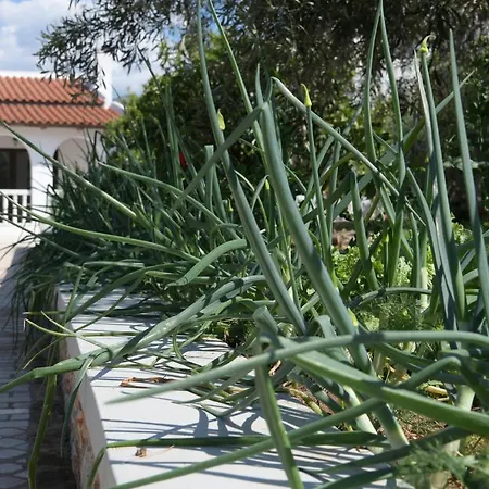 Anamar Eternity House Villa Asprokambos