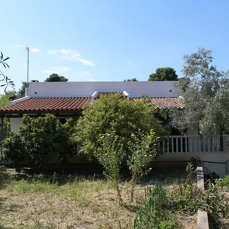 Anamar Eternity House